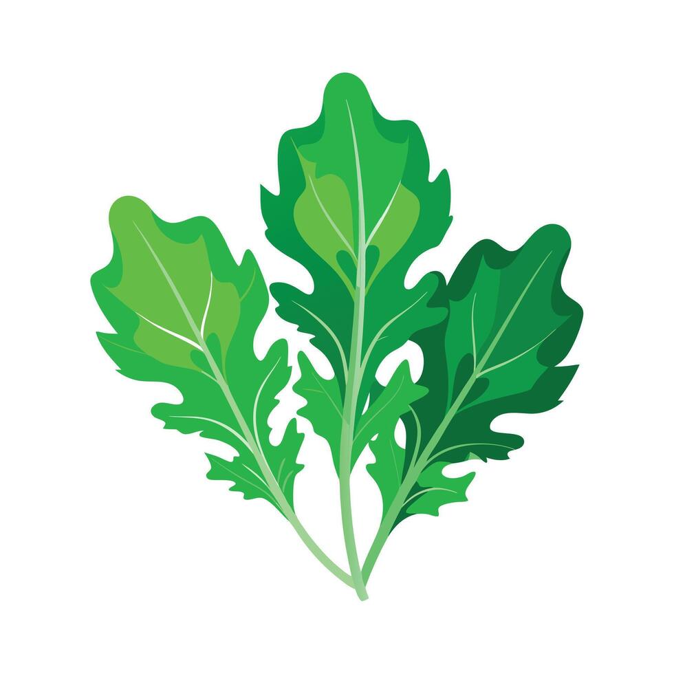 Realistic Beautiful Leaves Illustration vector