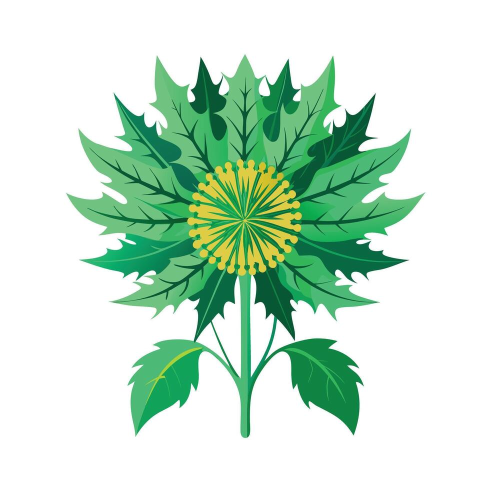 Realistic Beautiful Leaves Illustration vector