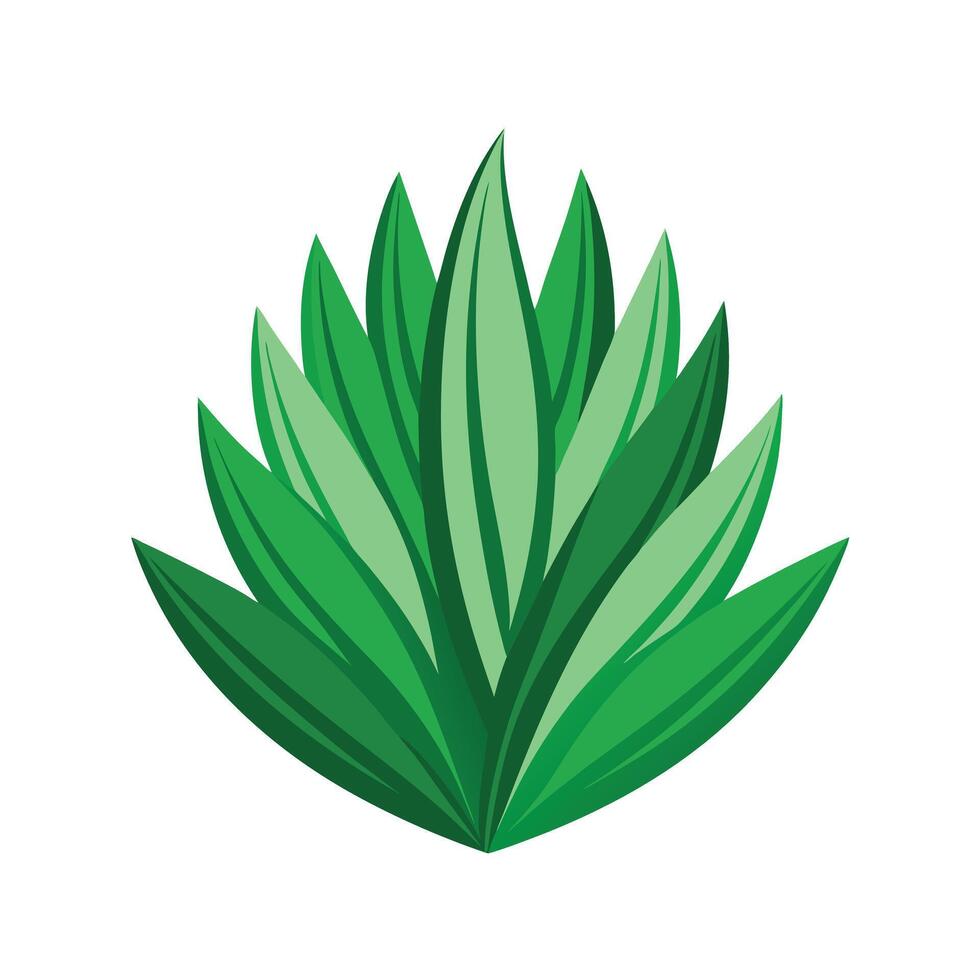 Realistic Beautiful Leaves Illustration vector