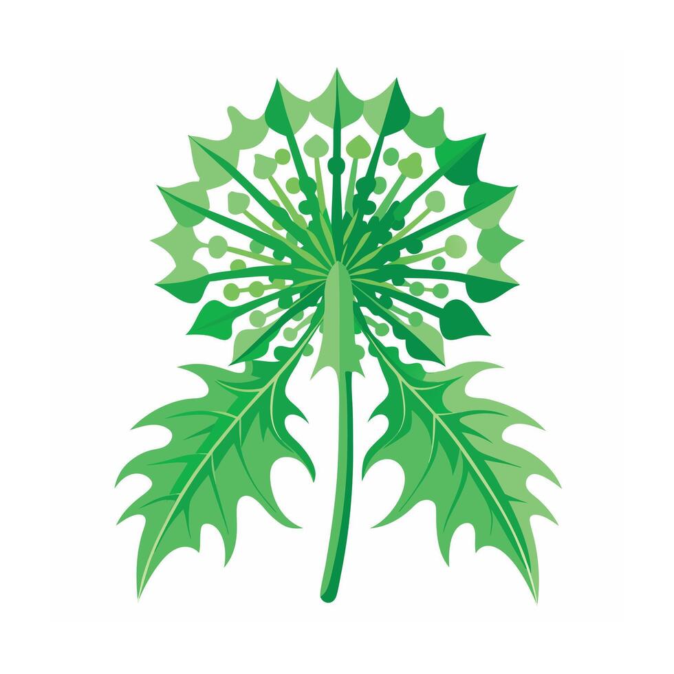 Realistic Beautiful Leaves Illustration vector