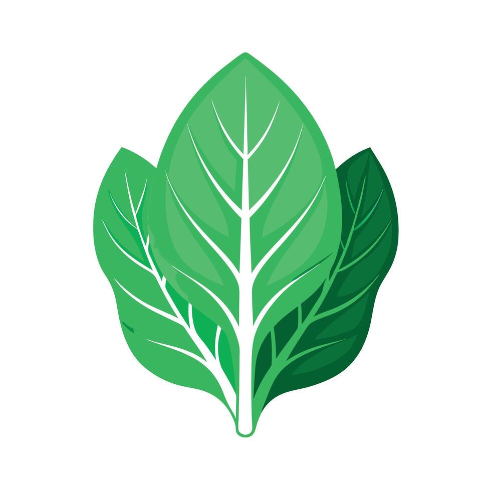 Realistic Beautiful Leaves Illustration vector
