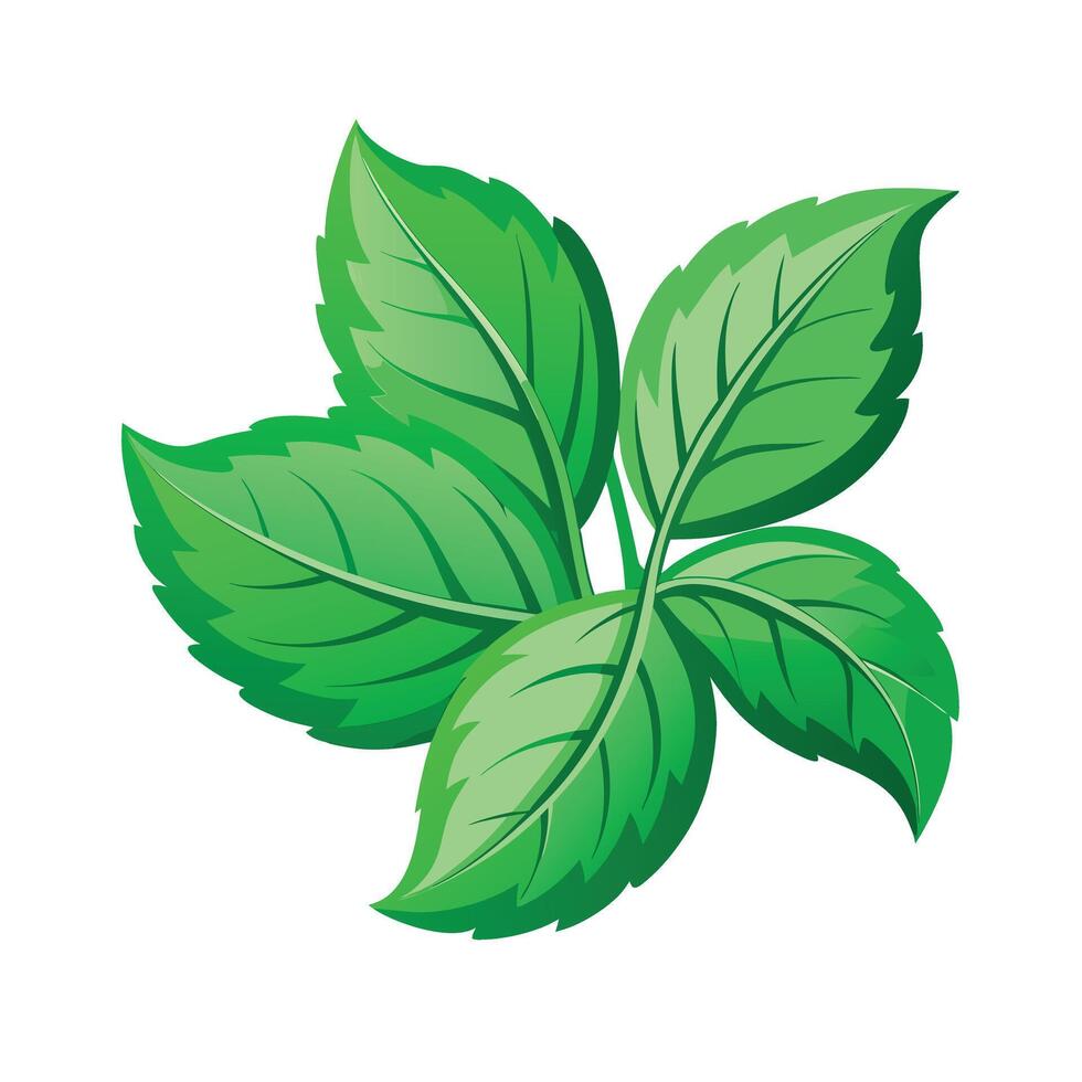 Realistic Beautiful Leaves Illustration vector