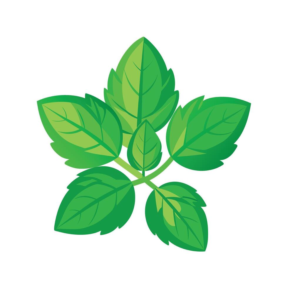 Realistic Beautiful Leaves Illustration vector