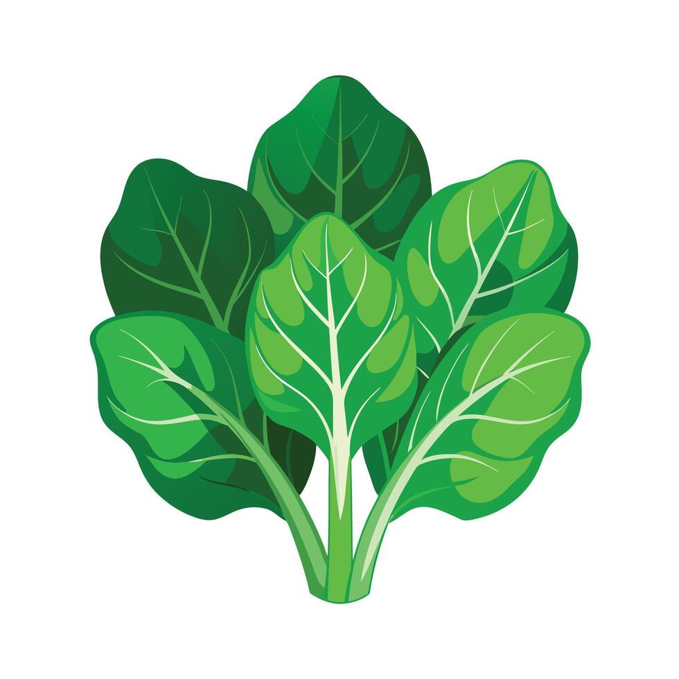 Realistic Beautiful Leaves Illustration vector