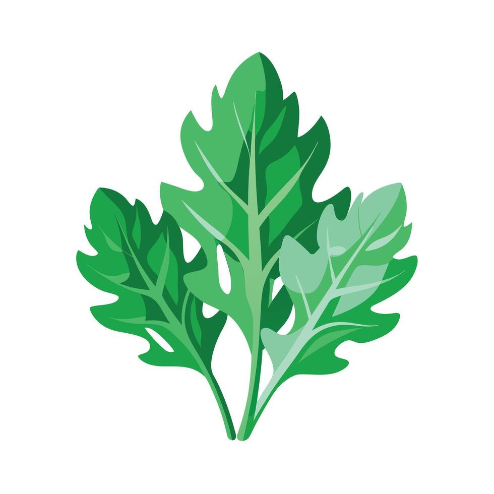 Realistic Beautiful Leaves Illustration vector