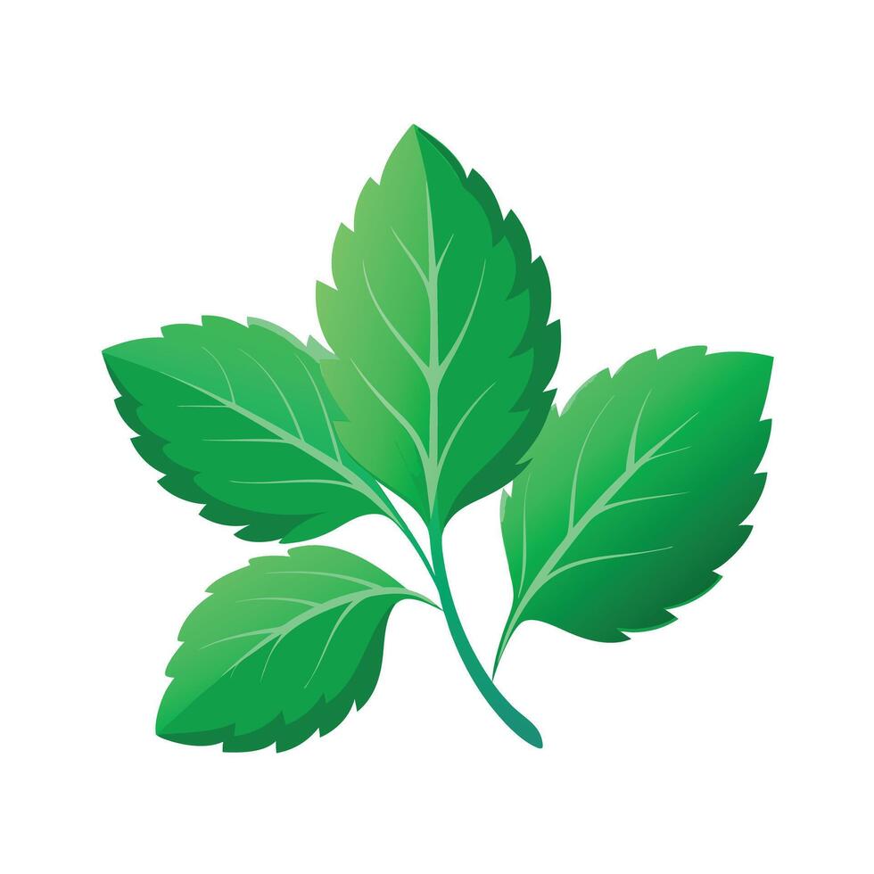 Realistic Beautiful Leaves Illustration vector