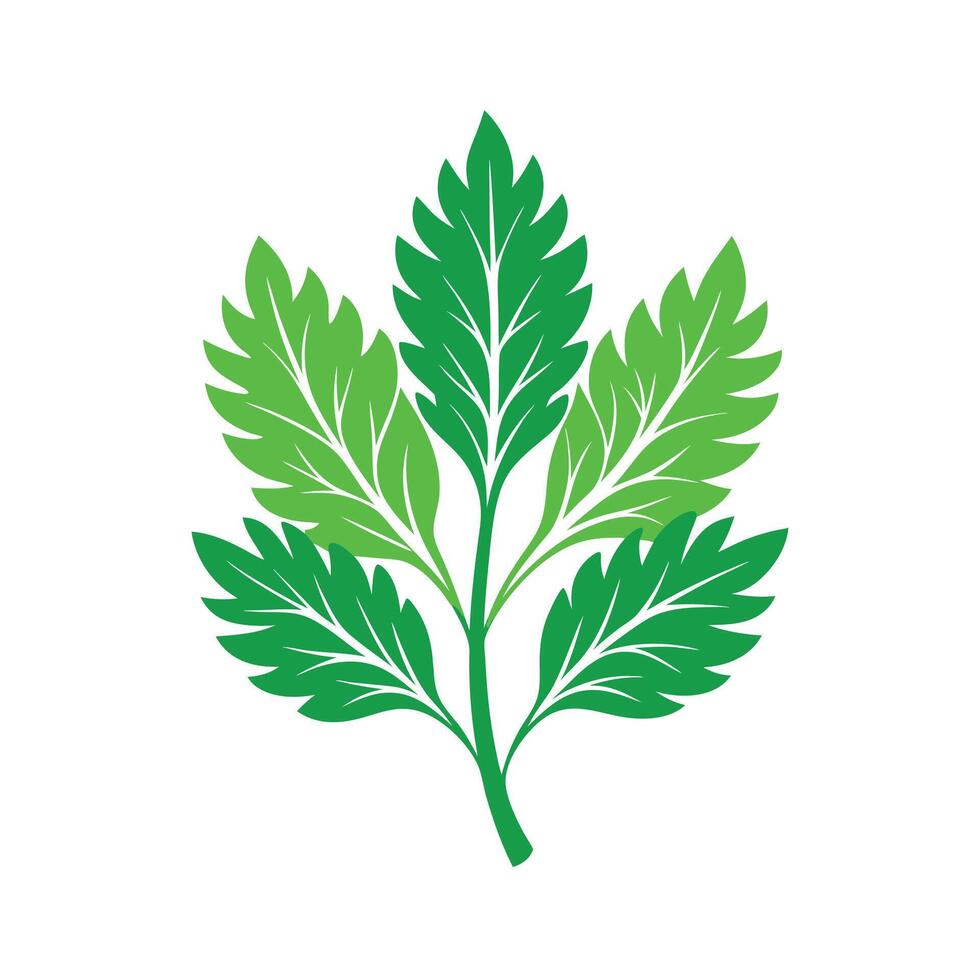 Realistic Beautiful Leaves Illustration vector