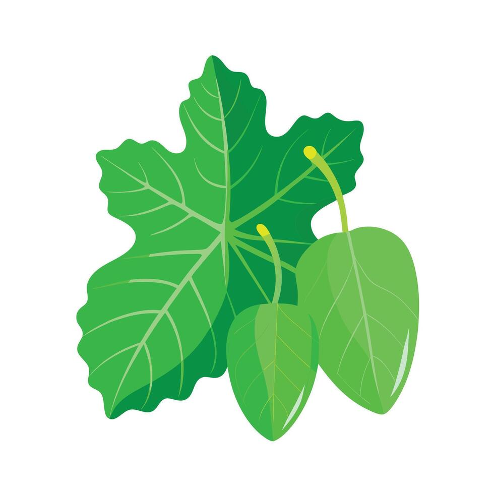 Realistic Beautiful Leaves Illustration vector