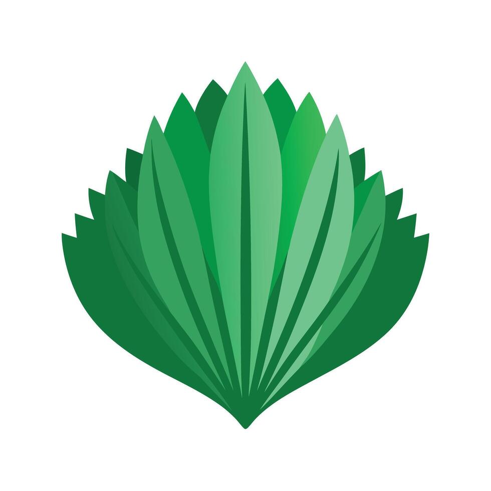 Realistic Beautiful Leaves Illustration vector