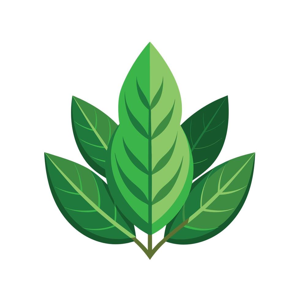 Realistic Beautiful Leaves Illustration vector