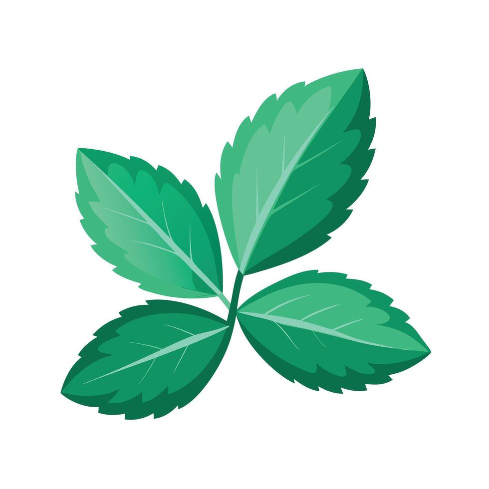 Realistic Beautiful Leaves Illustration vector