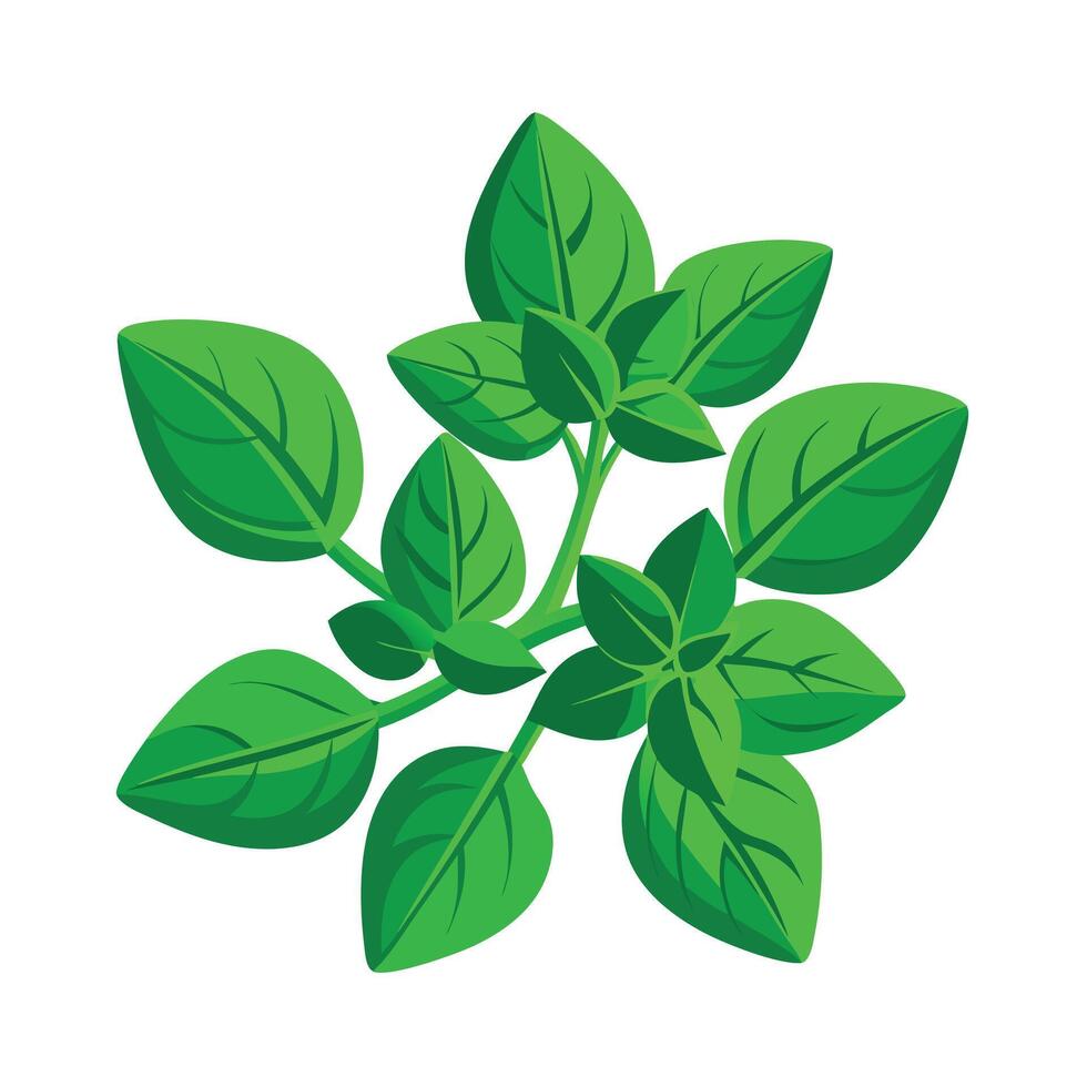 Realistic Beautiful Leaves Illustration vector