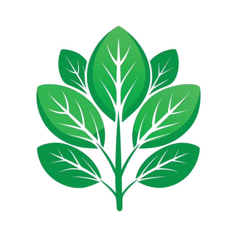 Realistic Beautiful Leaves Illustration vector