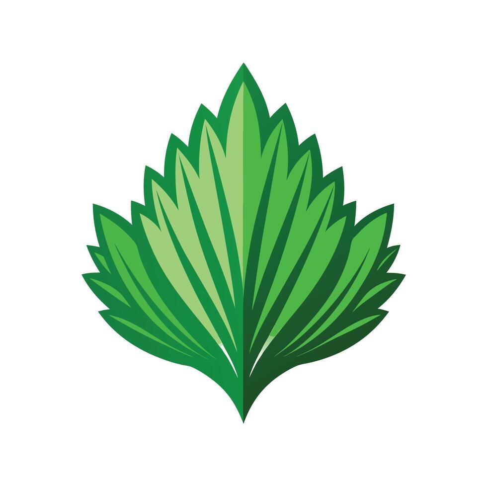 Realistic Beautiful Leaves Illustration vector