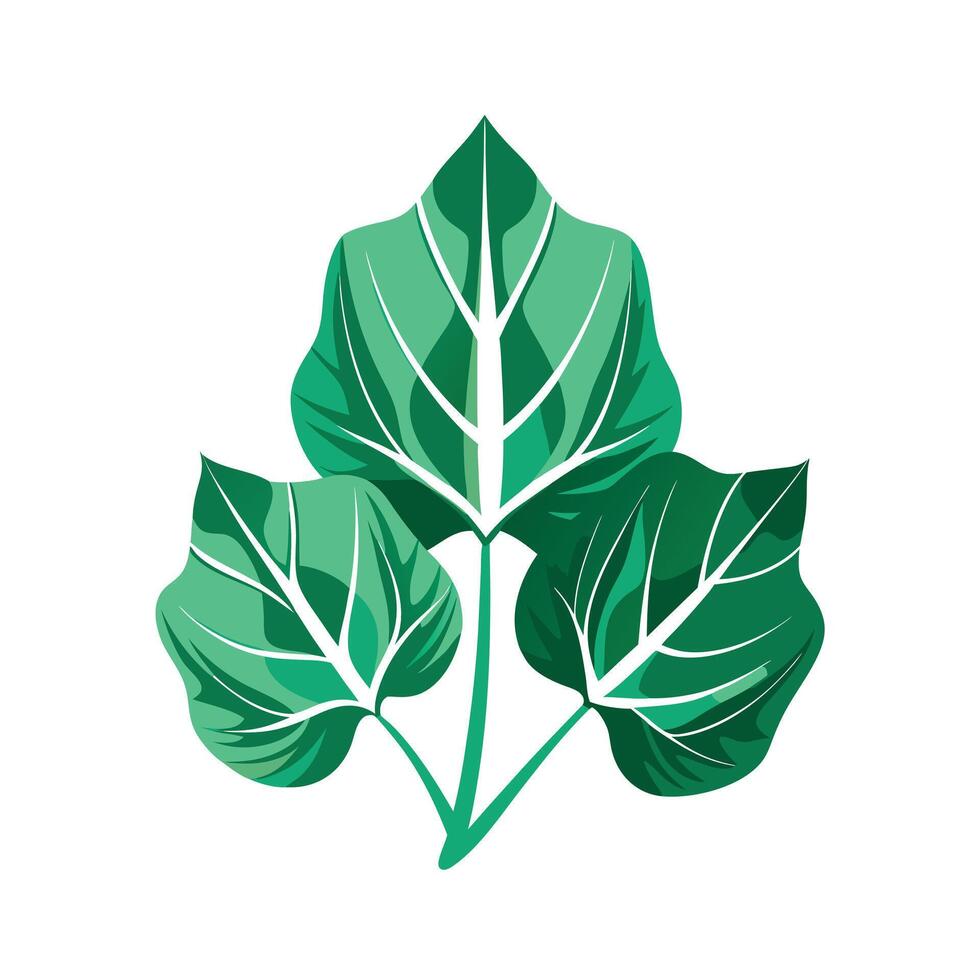 Realistic Beautiful Leaves Illustration vector