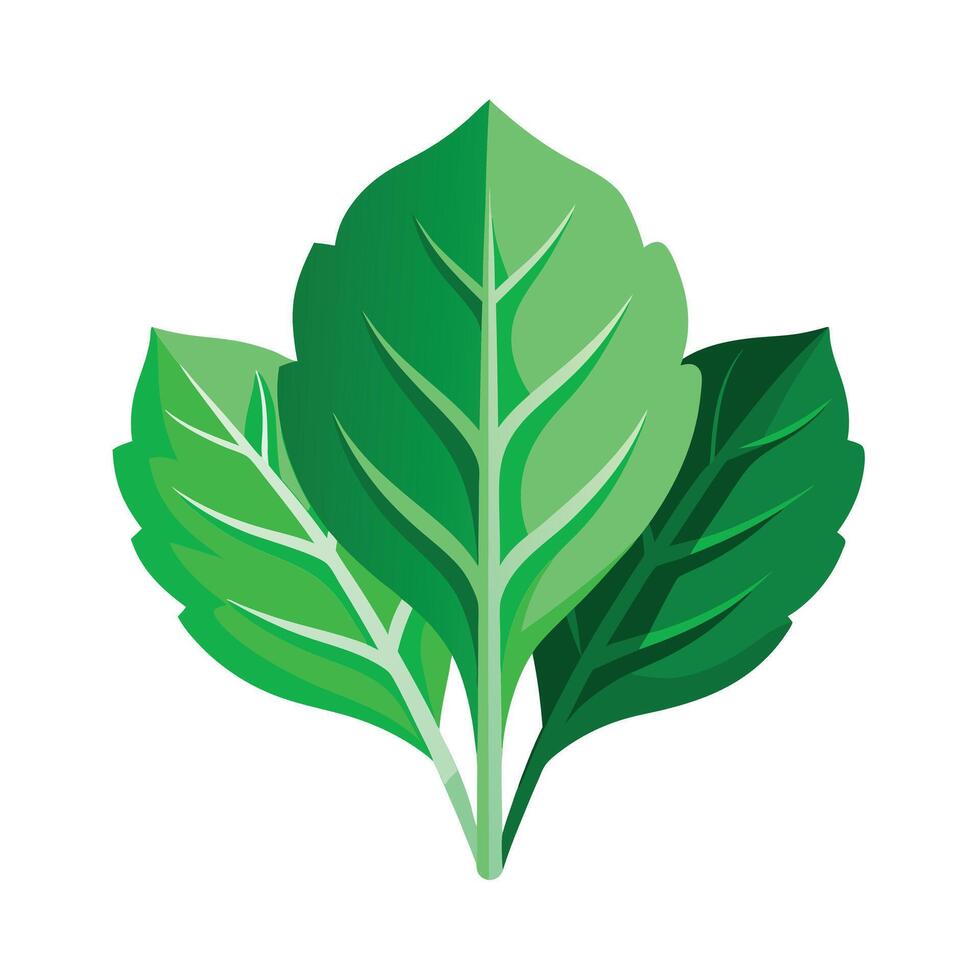 Realistic Beautiful Leaves Illustration vector