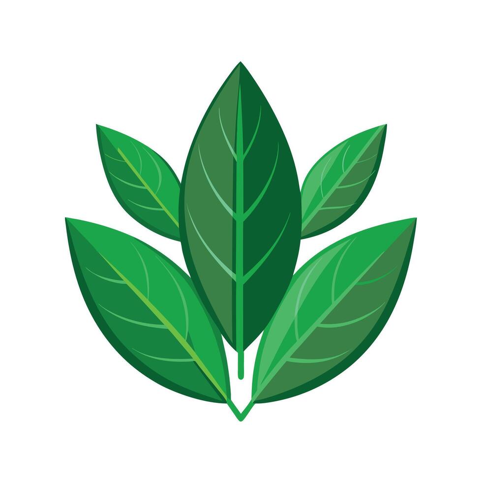 Realistic Beautiful Leaves Illustration vector