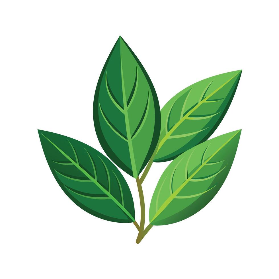 Realistic Beautiful Leaves Illustration vector