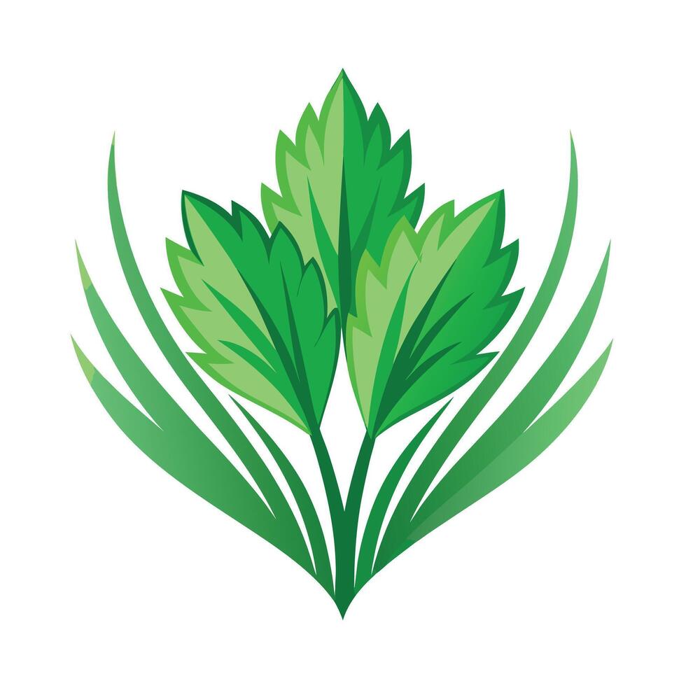 Realistic Beautiful Leaves Illustration vector