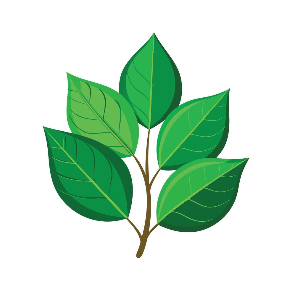 Realistic Beautiful Leaves Illustration vector