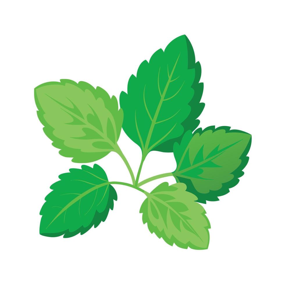Realistic Beautiful Leaves Illustration vector