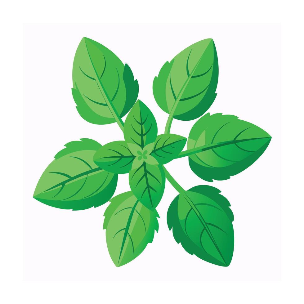 Realistic Beautiful Leaves Illustration vector