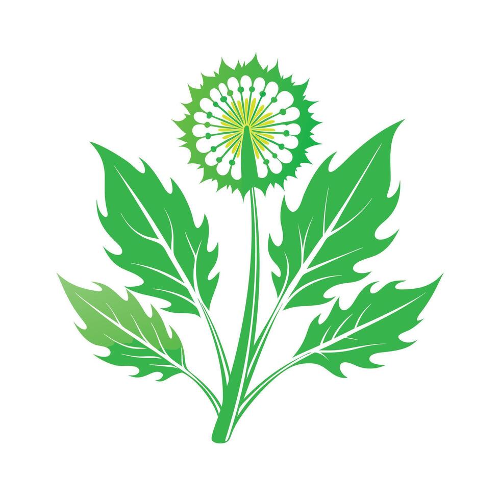 Realistic Beautiful Leaves Illustration vector