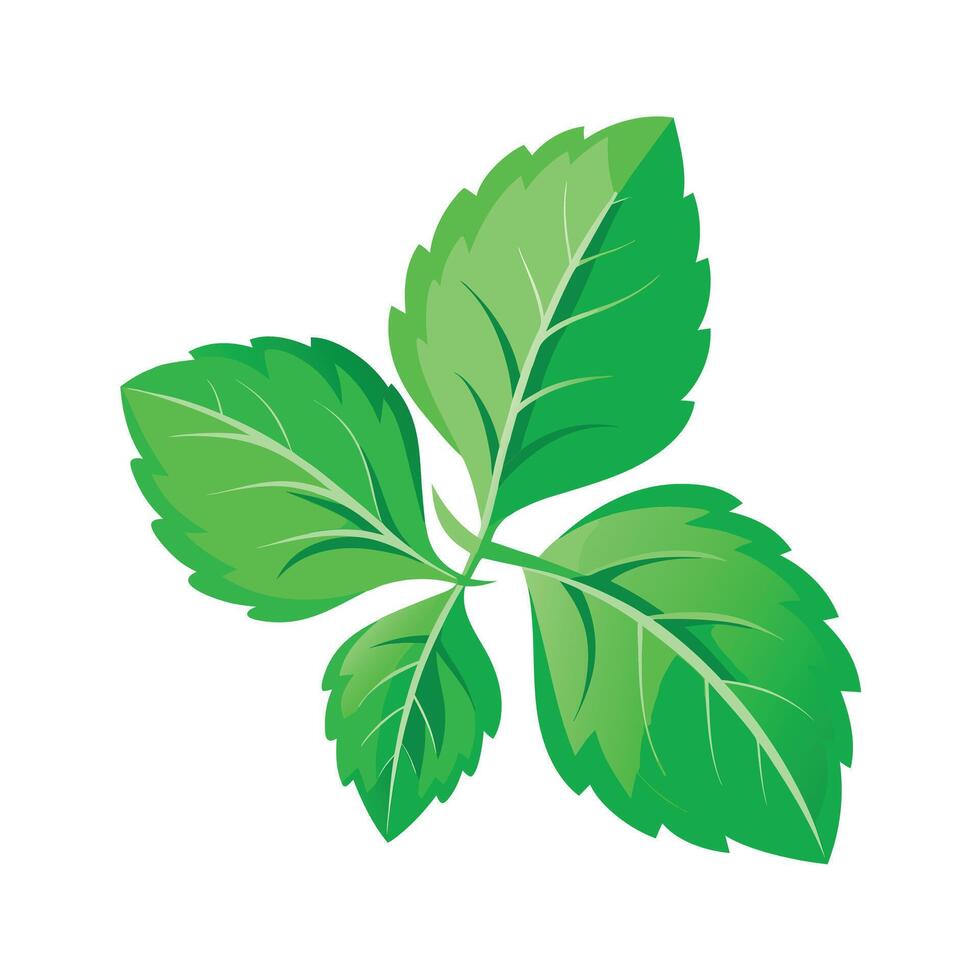 Realistic Beautiful Leaves Illustration vector