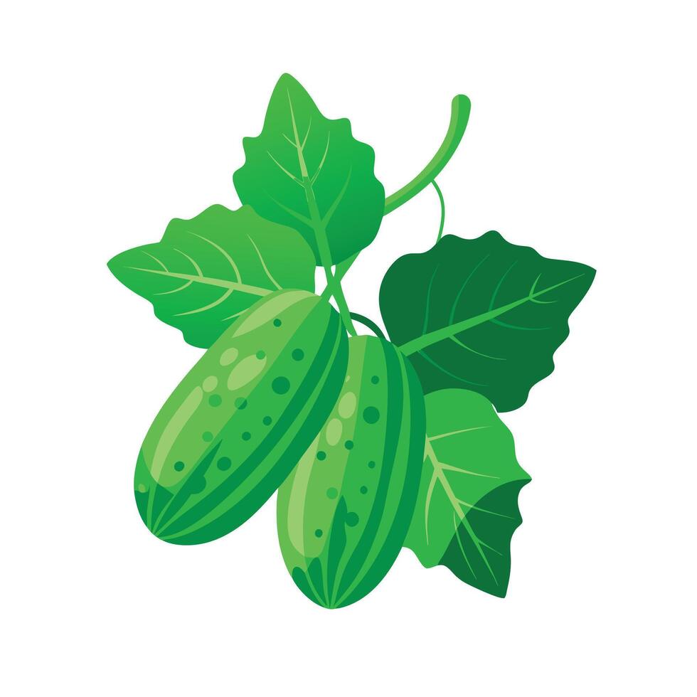 Realistic Beautiful Leaves Illustration vector