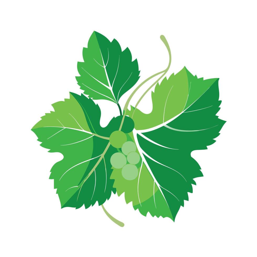 Realistic Beautiful Leaves Illustration vector