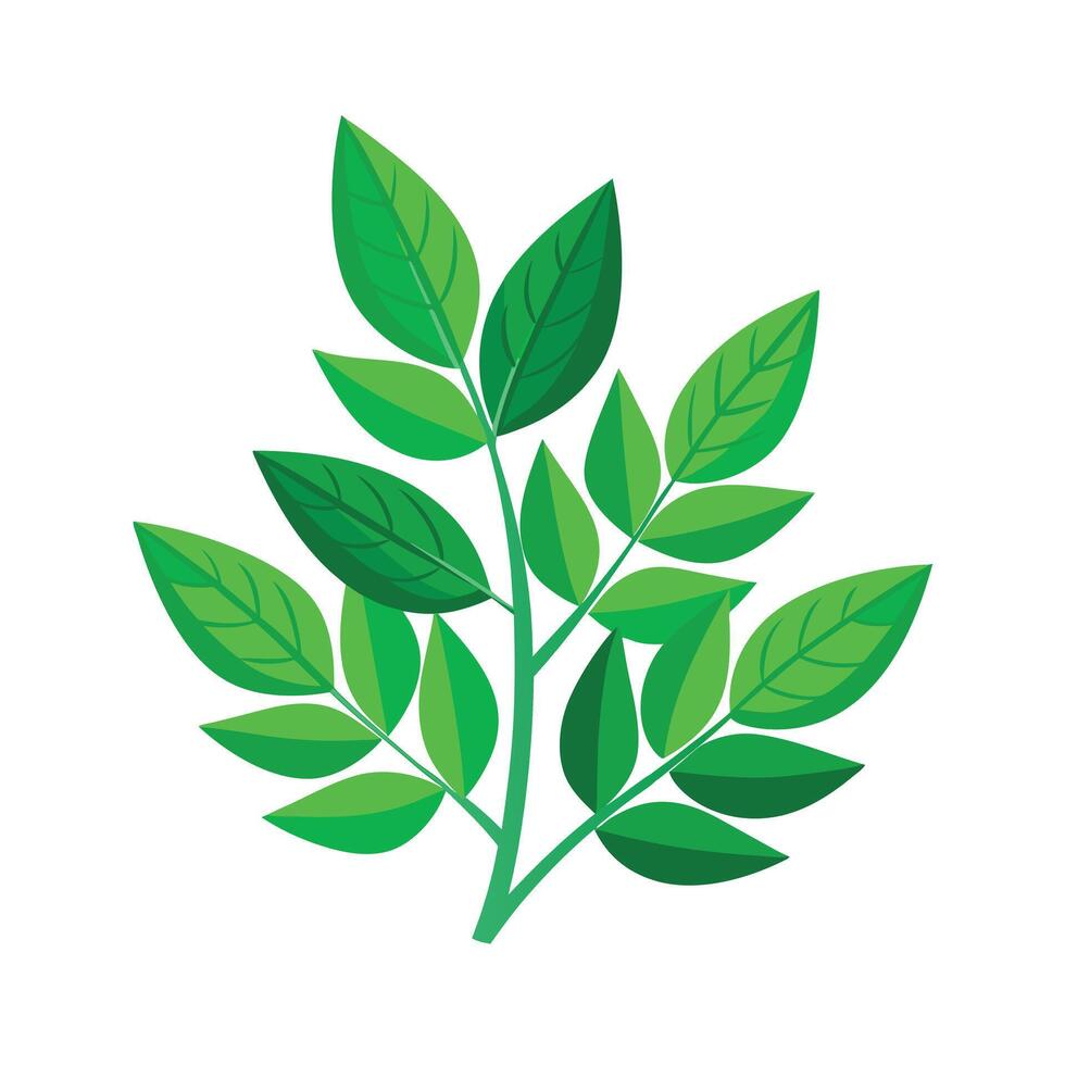 Realistic Beautiful Leaves Illustration vector
