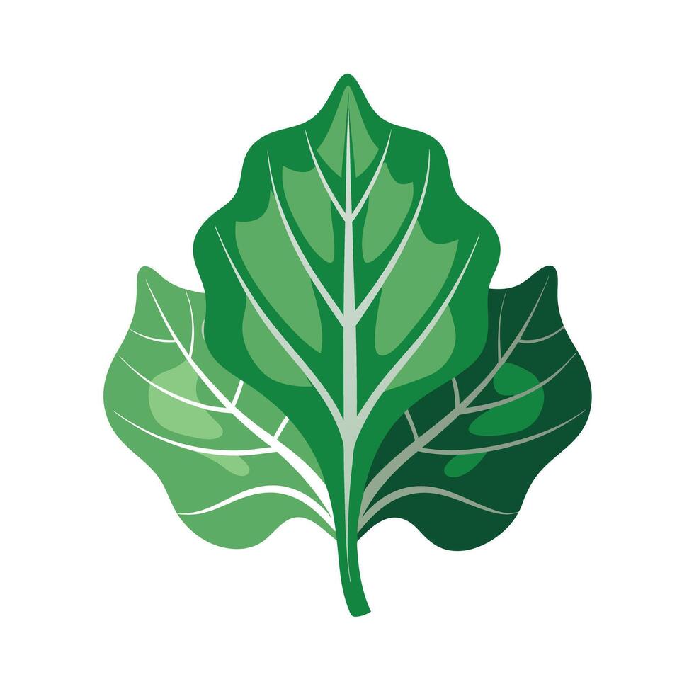 Realistic Beautiful Leaves Illustration vector