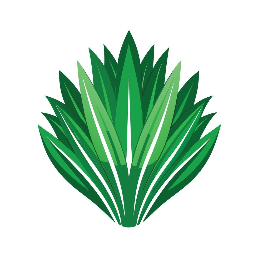 Realistic Beautiful Leaves Illustration vector