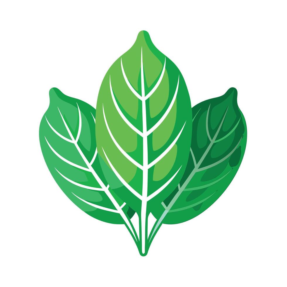 Realistic Beautiful Leaves Illustration vector