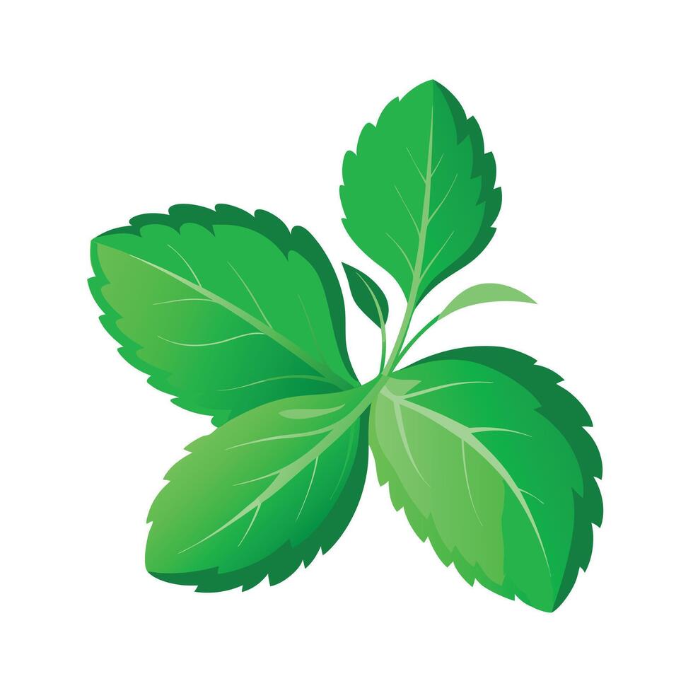 Realistic Beautiful Leaves Illustration vector