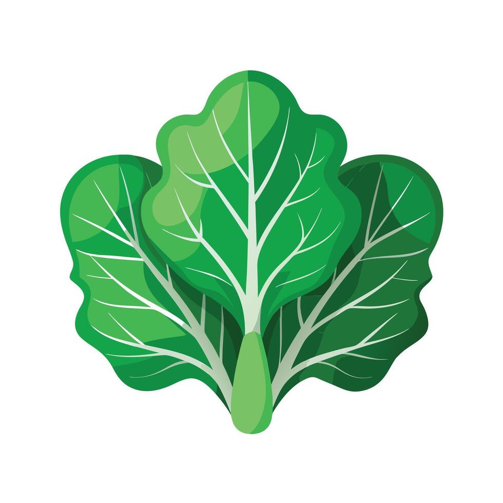 Realistic Beautiful Leaves Illustration vector