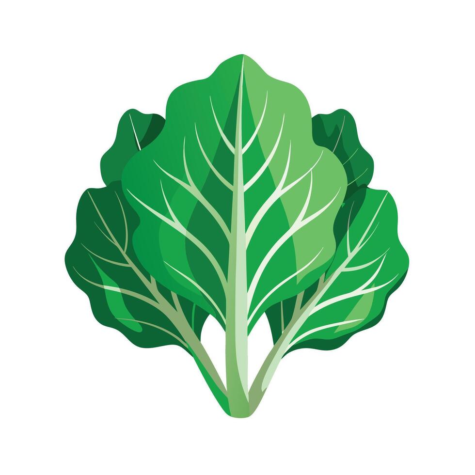 Realistic Beautiful Leaves Illustration vector