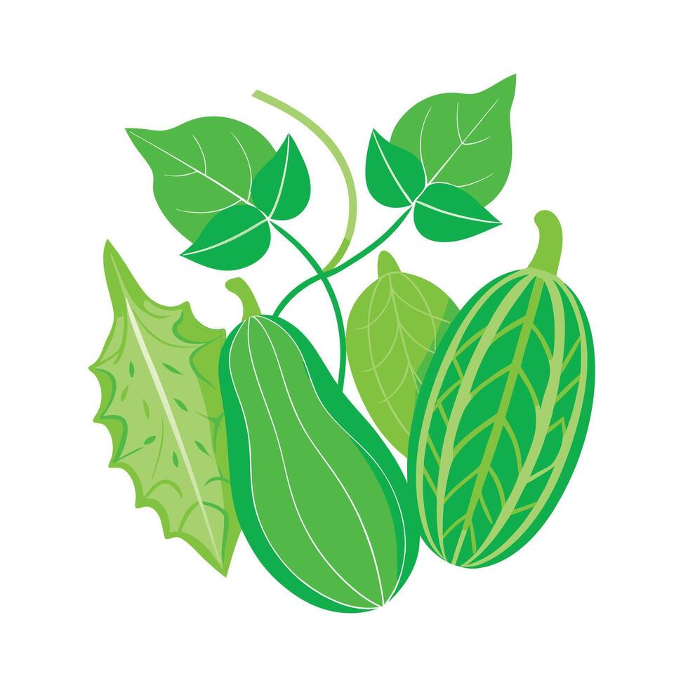 Realistic Beautiful Leaves Illustration vector