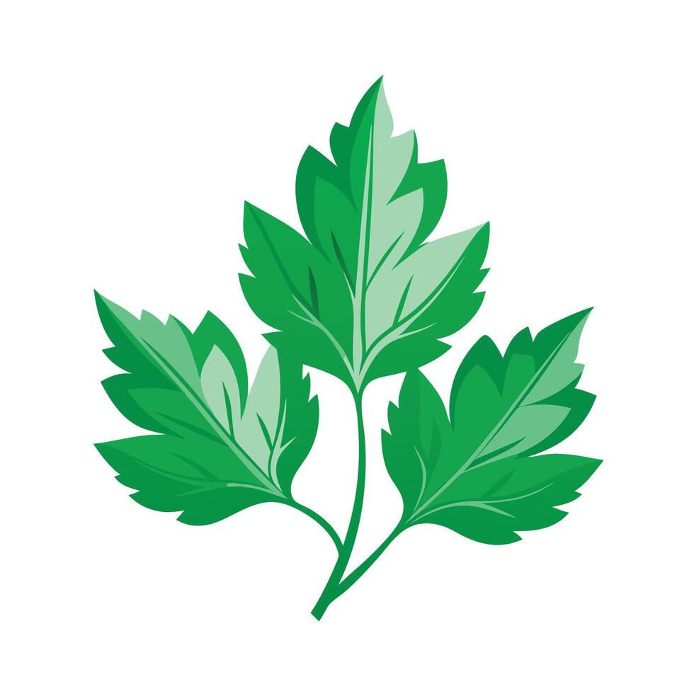 Realistic Beautiful Leaves Illustration vector