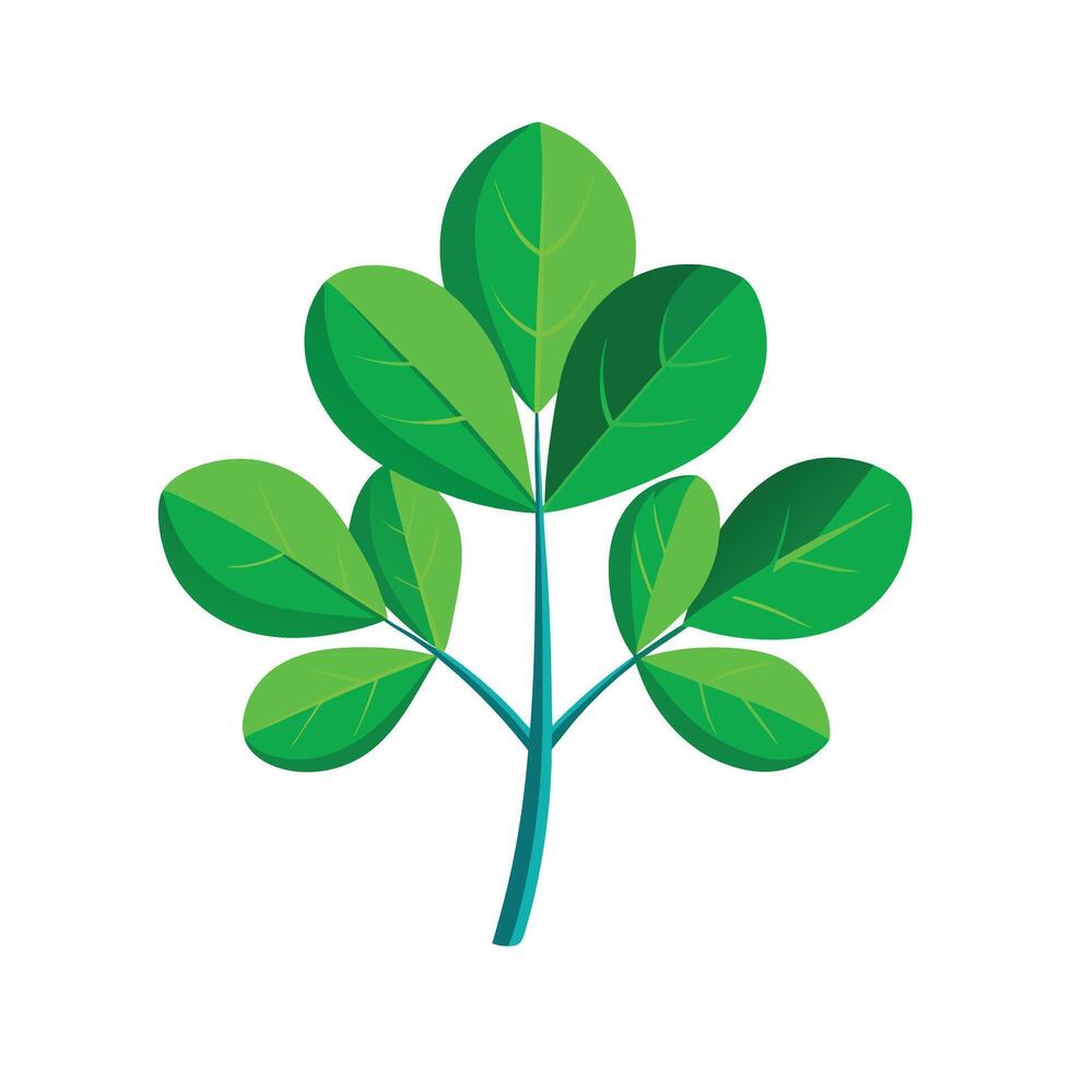 Realistic Beautiful Leaves Illustration vector