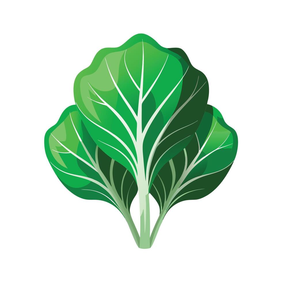Realistic Beautiful Leaves Illustration vector