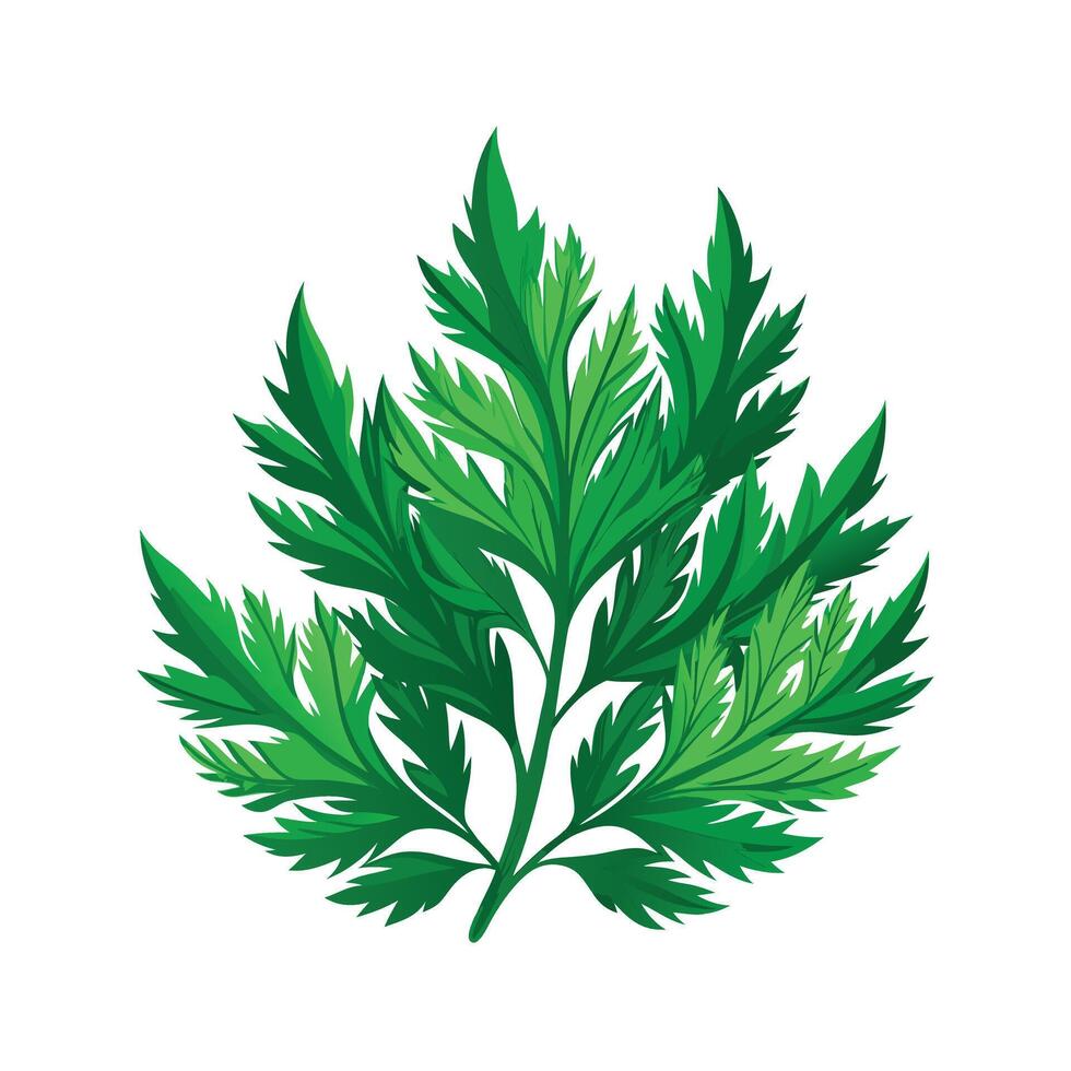 Realistic Beautiful Leaves Illustration vector