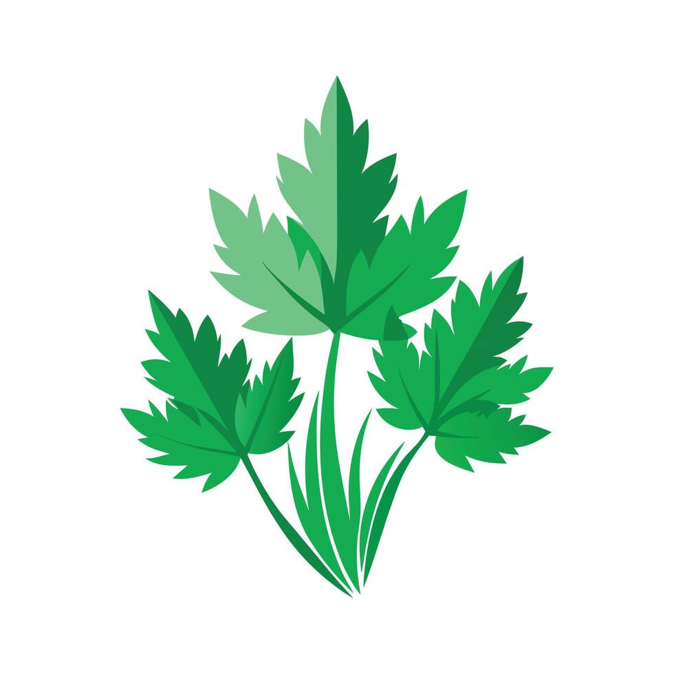 Realistic Beautiful Leaves Illustration vector