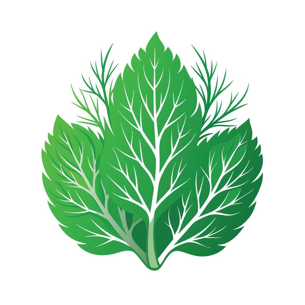 Realistic Beautiful Leaves Illustration vector