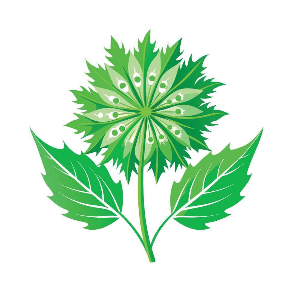 Realistic Beautiful Leaves Illustration vector