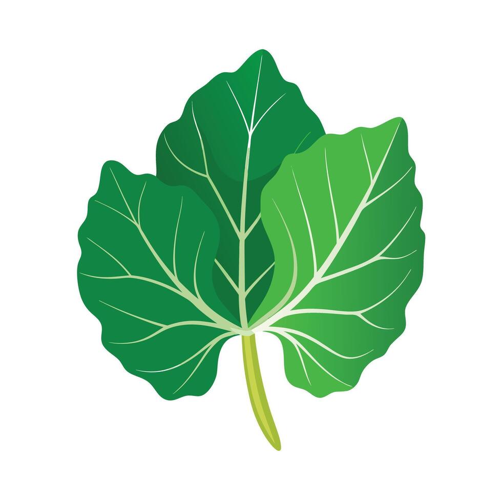 Realistic Beautiful Leaves Illustration vector