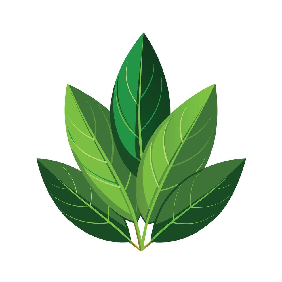 Realistic Beautiful Leaves Illustration vector
