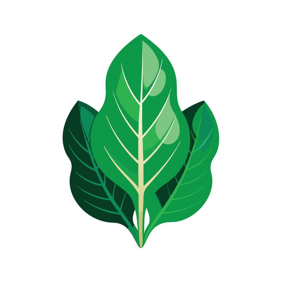 Realistic Beautiful Leaves Illustration vector