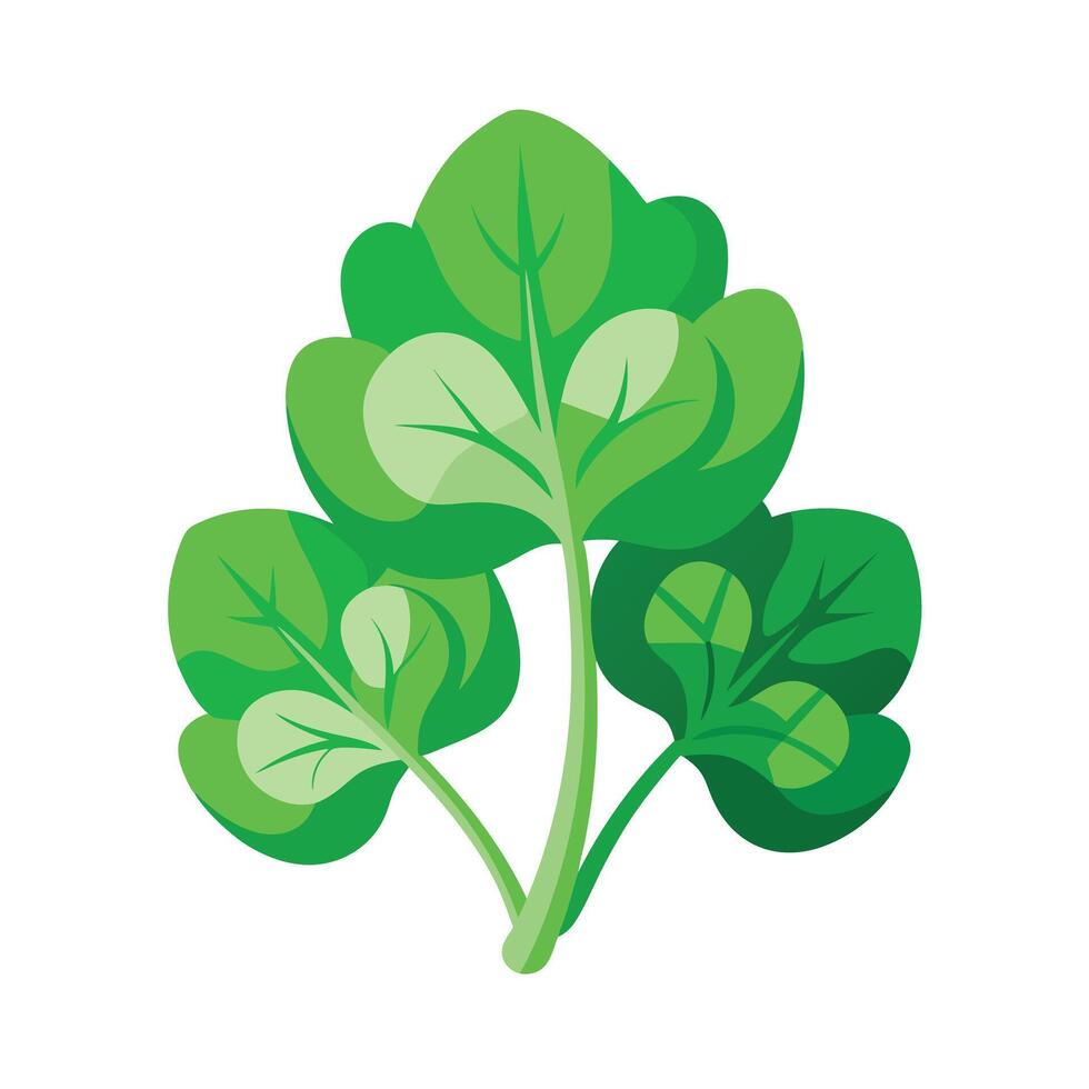 Realistic Beautiful Leaves Illustration vector