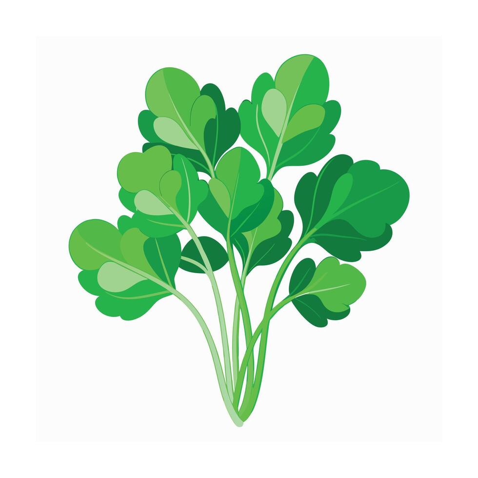Realistic Beautiful Leaves Illustration vector